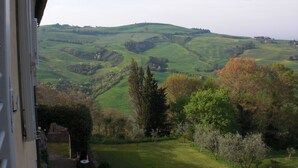 Une vue depuis une fenêtre donnant sur des collines verdoyantes et vallonnées, avec des arbres et un petit espace piscine visible au premier plan.