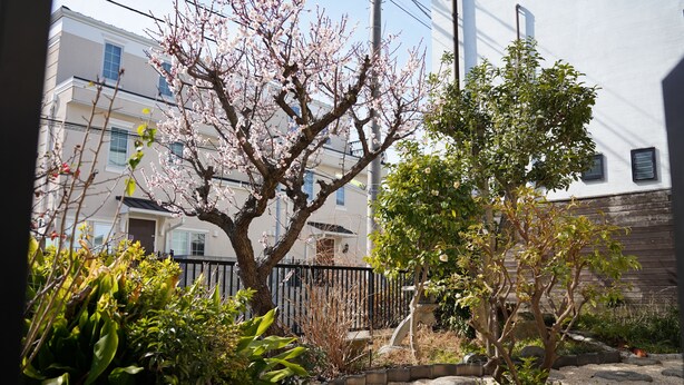 Un jardin résidentiel agrémenté de diverses plantes et doté d’un chemin en pierre.