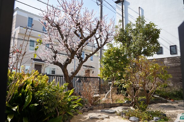 Comfort-studio (202) | Näkymä puutarhaan