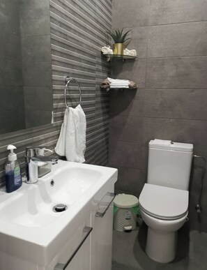 Hair dryer, towels