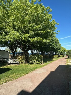 A rural road lined with trees and mobile homes. - Camping du Petit Pont (Arvert)