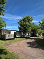A row of mobile homes with a gravel driveway and trees.