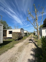 A row of mobile homes with a gravel path between them, surrounded by greenery and trees.