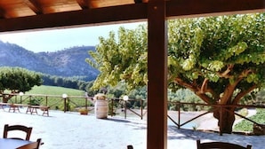 Un patio exterior con mesas y sillas de madera, un árbol grande y vistas a un paisaje montañoso.