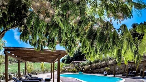Una piscina con sillas de descanso y una pérgola, rodeada de palmeras y un camino de piedra.