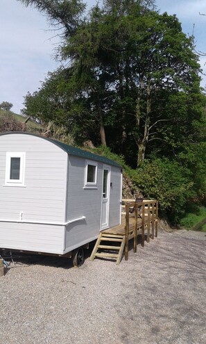 Junior Cabin | Terrace/patio