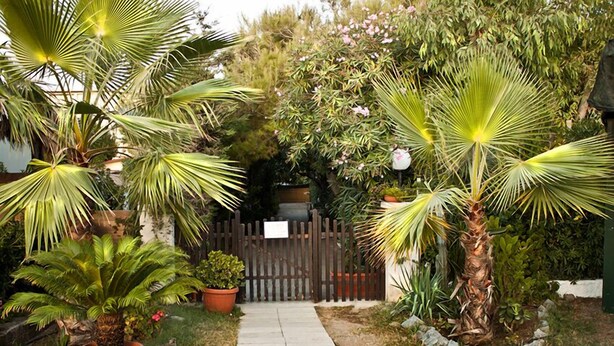 A garden pathway leading to a wooden gate, surrounded by potted plants and palm trees. - Villaggio Mediterraneo (Scalea)