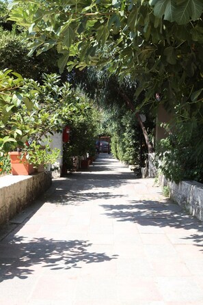 Exterior - Villaggio Mediterraneo (Scalea)