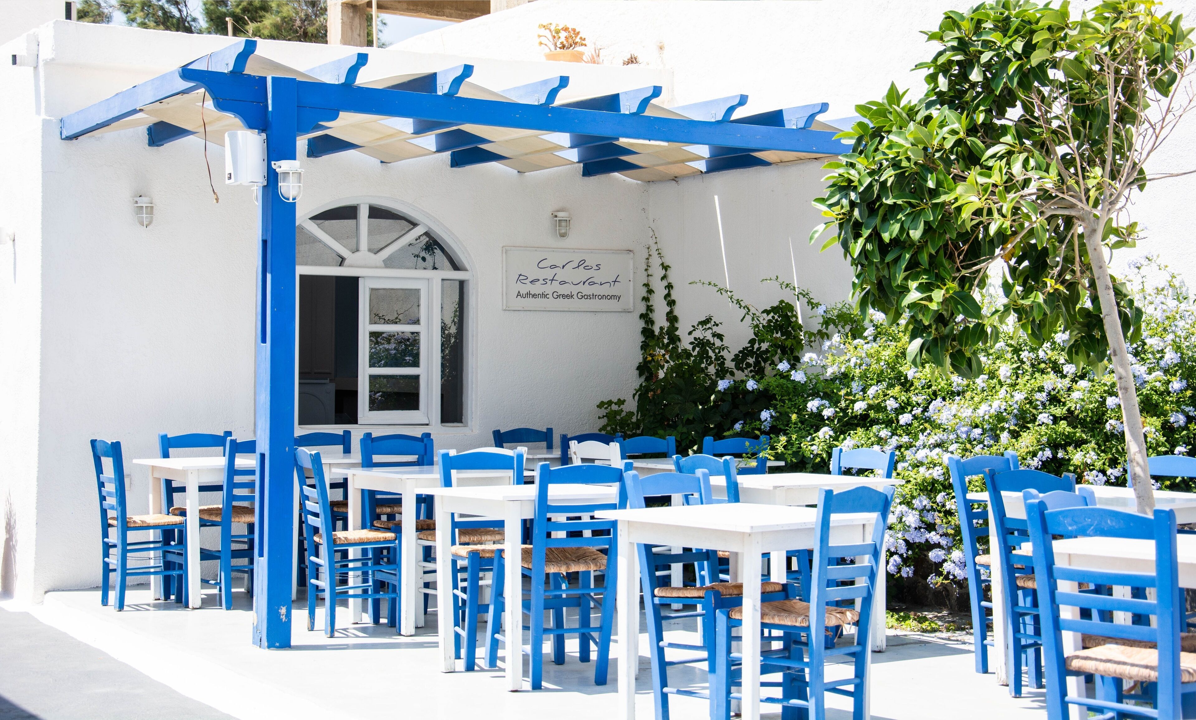 Foto - Carlos Pension