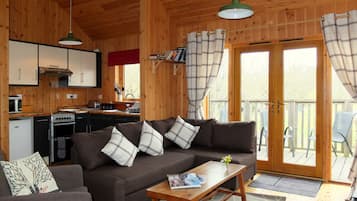 TV, fireplace, DVD player, books