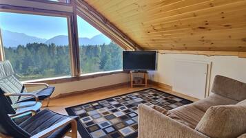 TV connectée, cheminée, lecteur de DVD, vidéothÚque