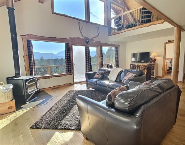 Smart TV, fireplace, DVD player, video library