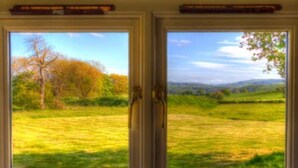 Romantic Cabin | View from room