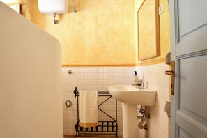Shower, bidet, towels, toilet paper - L'Agave, villa in Salina (Malfa)