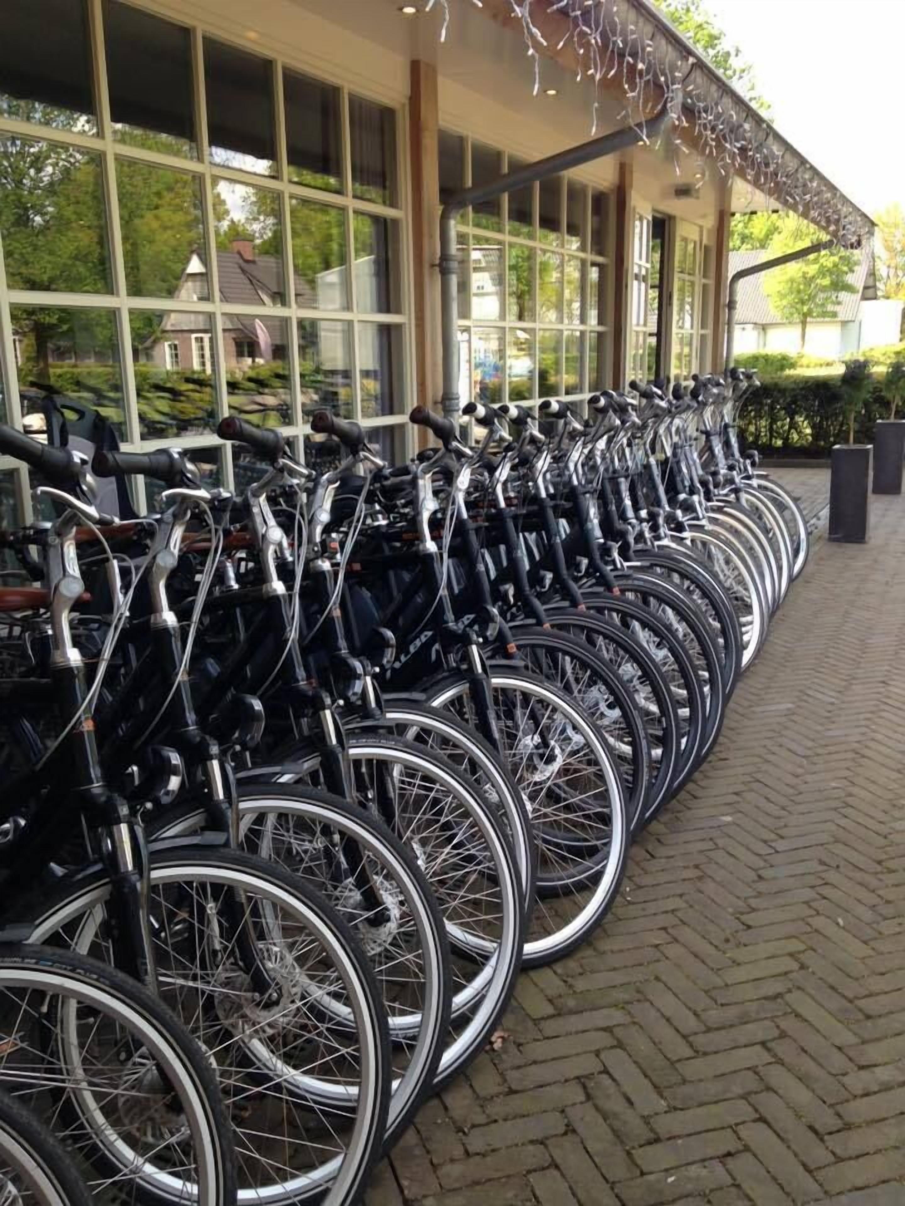 En rad cyklar står uppradade utanför en byggnad med stora fönster.
