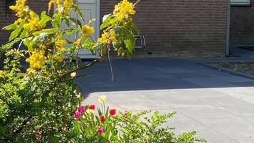 Studio, 1 Queen Bed with Sofa bed, Garden View, Ground Floor | Garden view