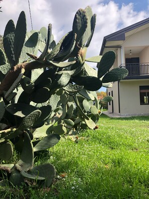 Exterior detail - Etna Country Villa Anna (Mascalucia)