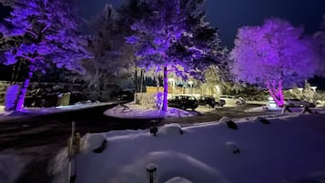 A snowy outdoor area with trees illuminated by purple lights, parked cars, and a snow-covered ground.
