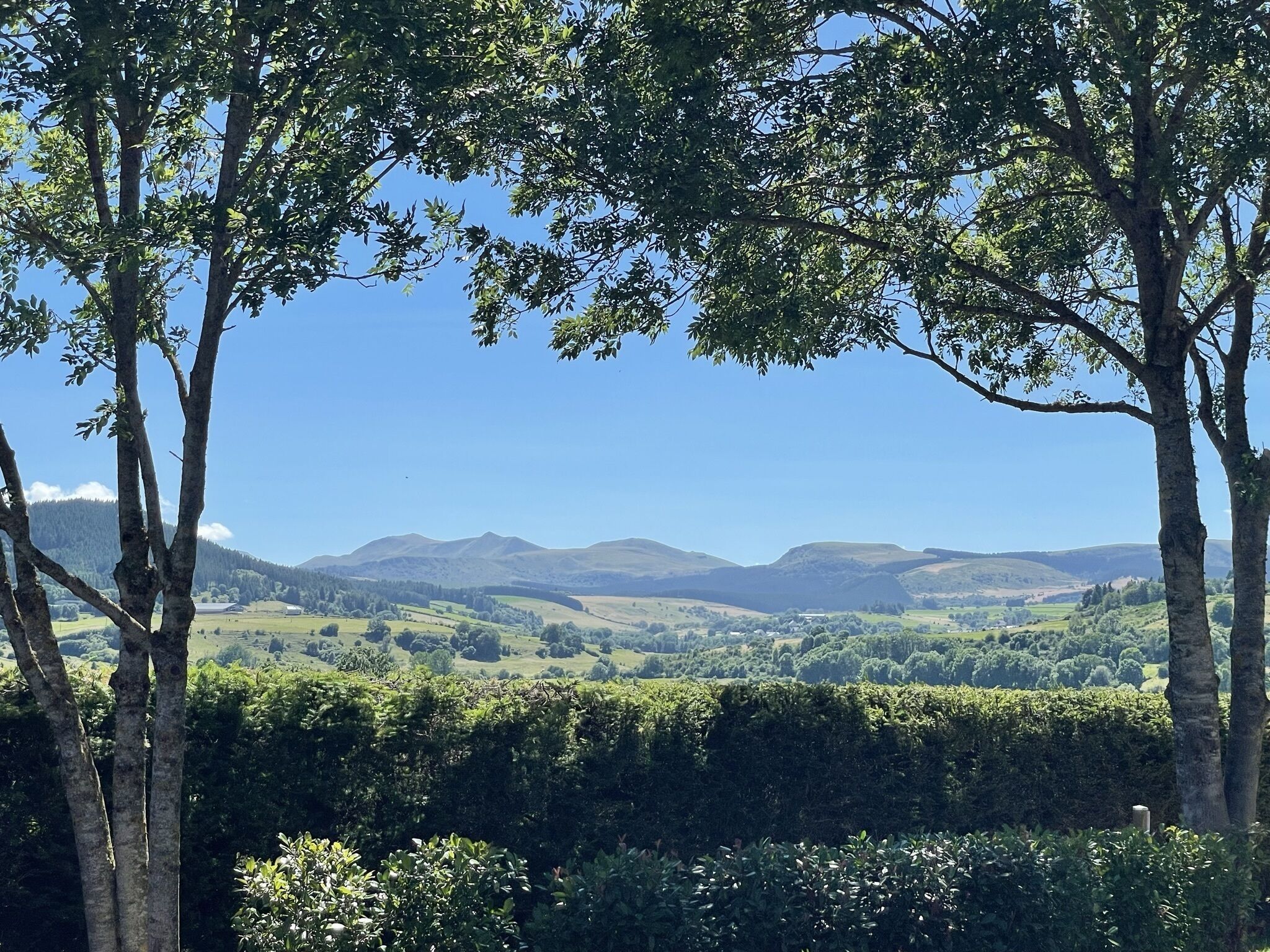 Un paisaje con árboles y colinas distantes.