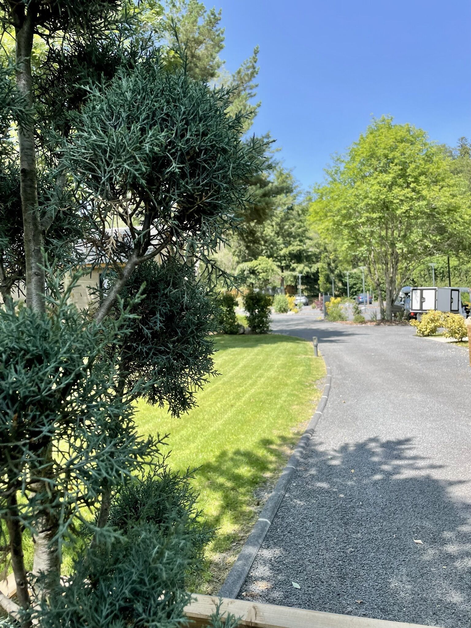 A residential street with a well-maintained lawn, a gravel driveway, and a row of trees.