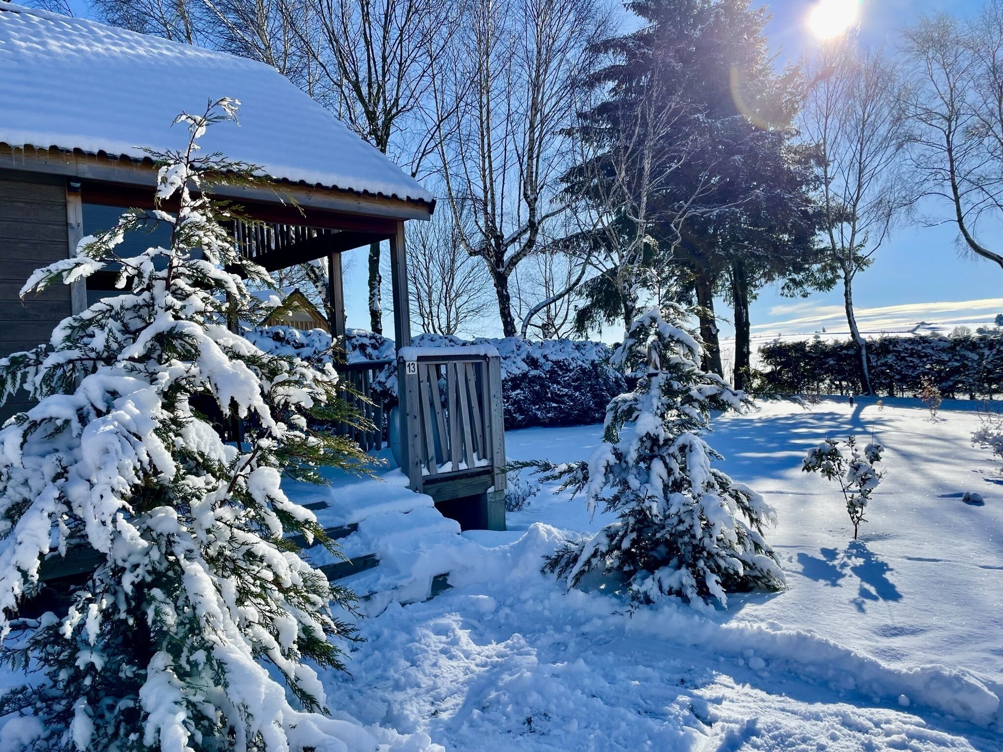 A snow-covered house with a porch and a small tree in front.