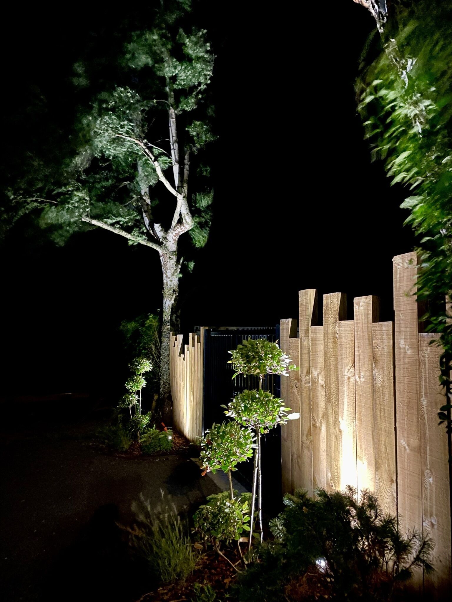 A nighttime view of a wooden fence with a tree in the foreground.