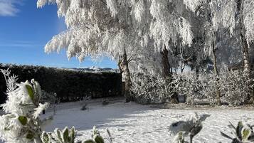 A snow-covered garden with a large tree and a hedge.