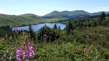 A lake surrounded by green hills and dense forest.