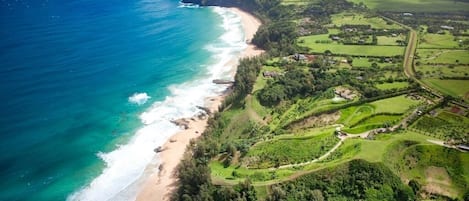 Ferienhaus, 1 Schlafzimmer | Strand | Am Strand