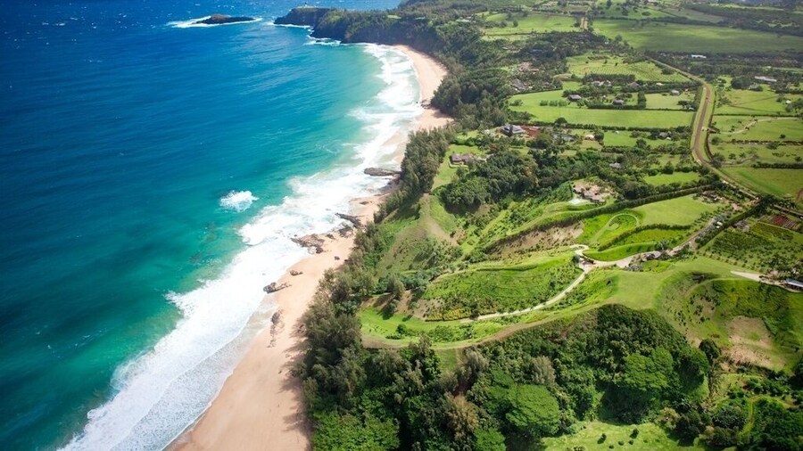 Hale Nanea 1 Bedroom Home by RedAwning