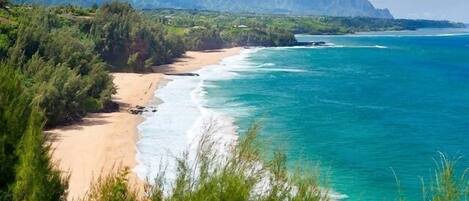 House, 1 Bedroom | Beach | On the beach