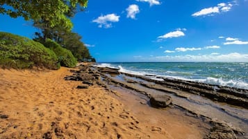 Condo, 1 Bedroom | Beach