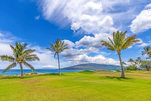 شقة - غرفة نوم واحدة | جولف