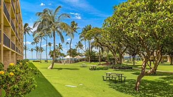 Condo, 1 Bedroom | Golf