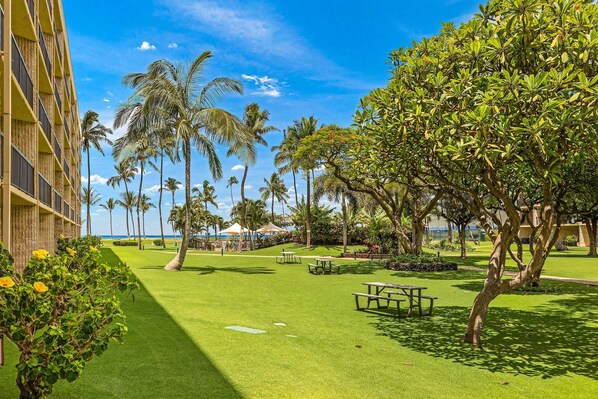 شقة - غرفة نوم واحدة | جولف