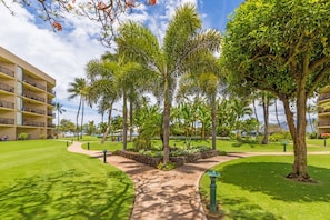 شقة - غرفة نوم واحدة | المنطقة المحيطة بالمنشأة