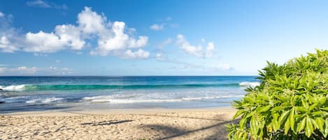 Kondominium, 2 kamar tidur | Pantai