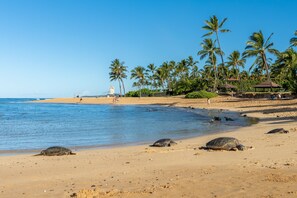 Beach - Hale Kahana'lu 2 Bedroom Condo by RedAwning (Koloa)