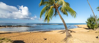 Hale Kahana'lu 2 Bedroom Condo by RedAwning
