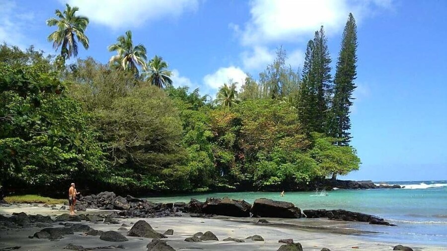 Hale Ola Aina 2 Bedroom Home by RedAwning