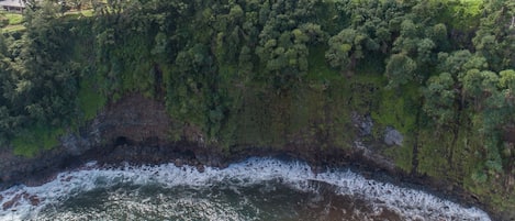 House, 3 Bedrooms | Property grounds