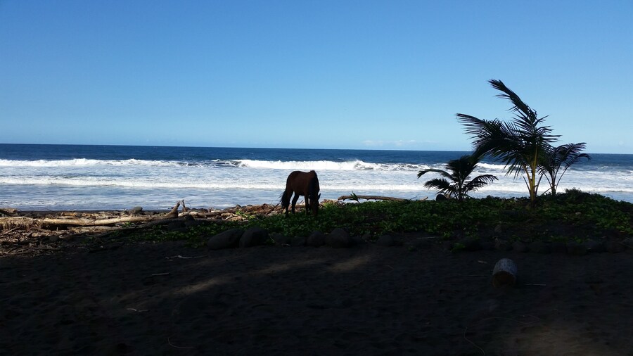 Hamakua Pukana La Hale 3 Bedroom Home by RedAwning