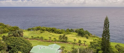 House, 4 Bedrooms | Property grounds