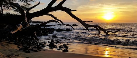 Hus - 3 sovrum | Strand