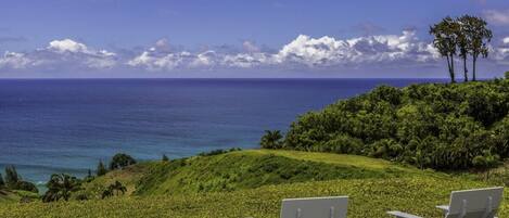 Hus, 1 soverom | Overnattingsstedets uteområder
