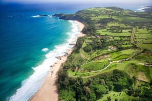 House, 1 Bedroom | Beach | On the beach - Hale Lani 1 Bedroom Home by RedAwning (Kilauea)