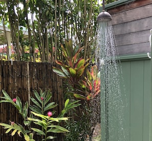 Stroll through the serene garden, surrounded by lush plants and a soothing water feature.