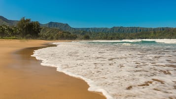 House, 5 Bedrooms | Beach