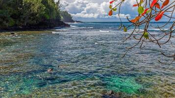 Casa, varias habitaciones | Playa