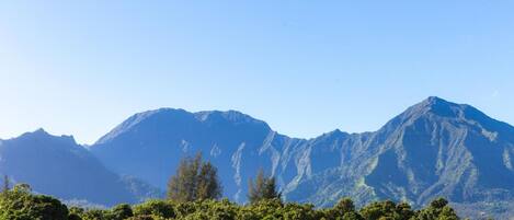 House, 2 Bedrooms | Property grounds